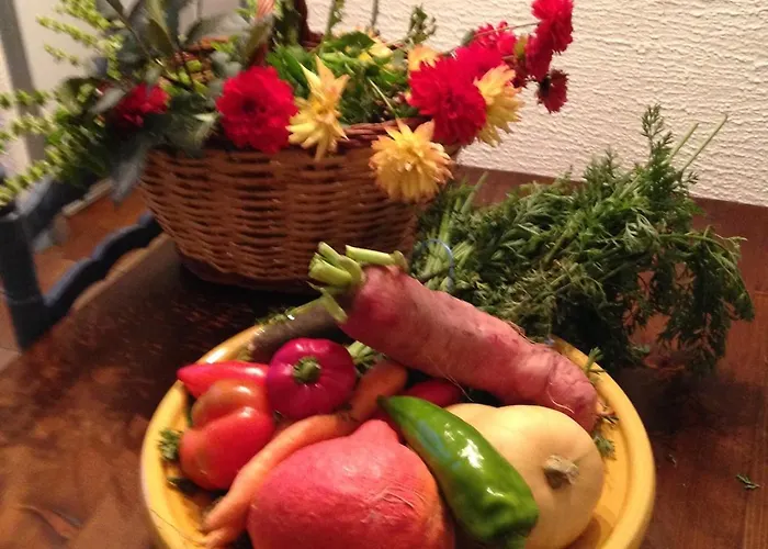 Villa Chateau D'issus, Near Toulouse, France