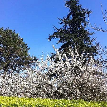 Château D'issus, Near Toulouse, France Villa