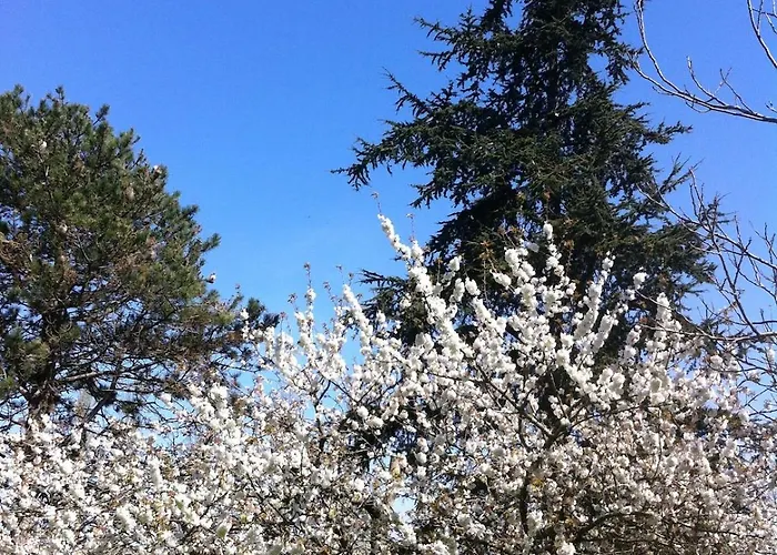 Chateau D'issus, Near Toulouse, France ヴィラ